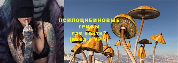 дживик Арсеньев