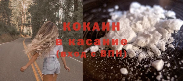 дживик Арсеньев